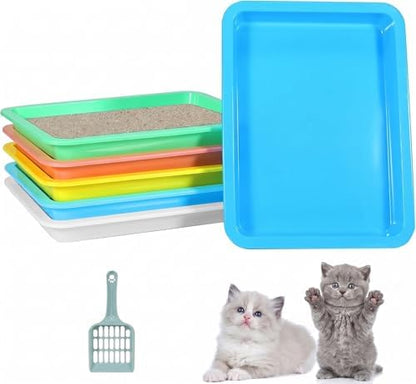 6 Pcs Kitten Litter Boxes, Low Entry Litter Box