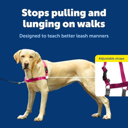 PetSafe Easy Walk Harness, No Pull Dog Harness