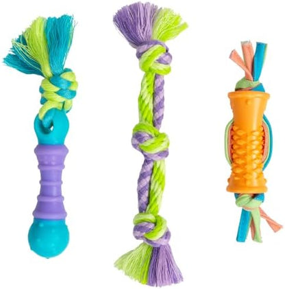 Dental Chew Pack Mini Dog Chew Toys