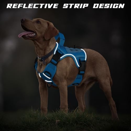 WINGOIN Blue Tactical Dog Harness