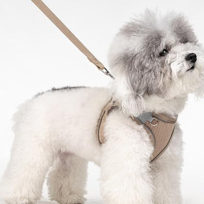 Dog Harness for Small Medium Sized Dog, Puppy Harness and Leash Set Training