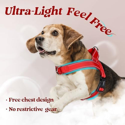 rabbitgoo Dog Harness No Pull, Quick Fit