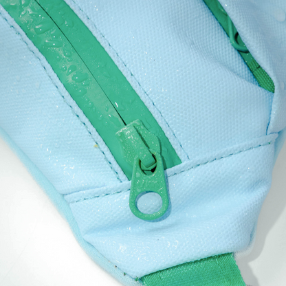 Hands-Free Dog Walking Bag