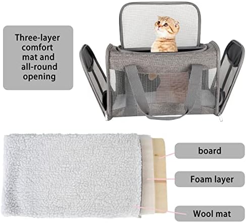 Cat Carrying Case