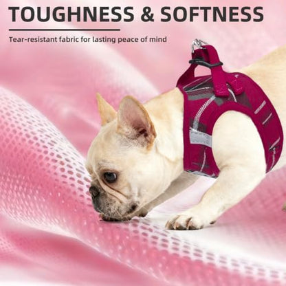 PUPTECK Dog Harness, Collar and Leash Set No Pull