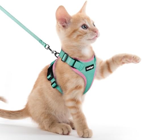 rabbitgoo Cat Harness and Leash Set, Escape Proof Vest