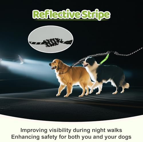 Double Dog Leash