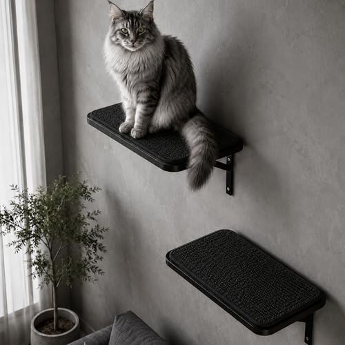 Cat Wall Shelves Set of 2