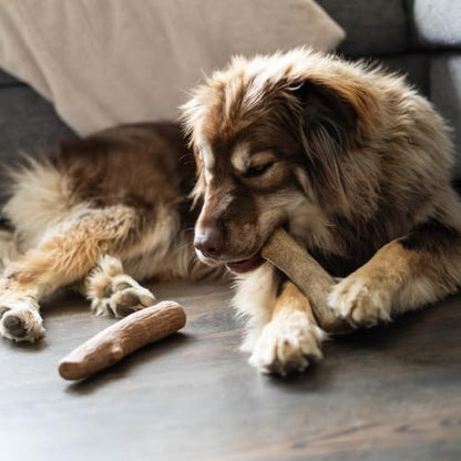 Dogwood Calming Stick Dog Chew Toy, Made in USA