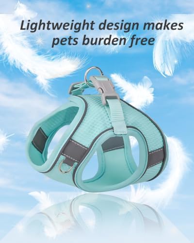 Solmoony Dog Harness for Small Medium Dogs No Pull, Puppy Harness and Leash Set