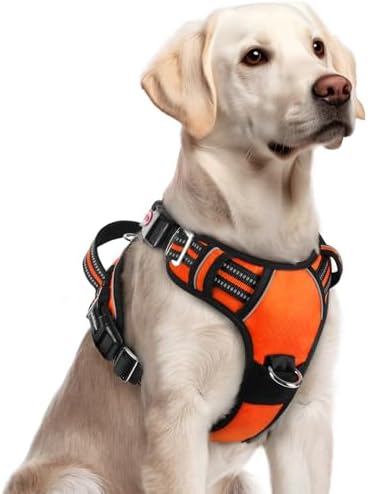 rabbitgoo Dog Harness for Large, No Pull 3 Buckles Easy On & Off
