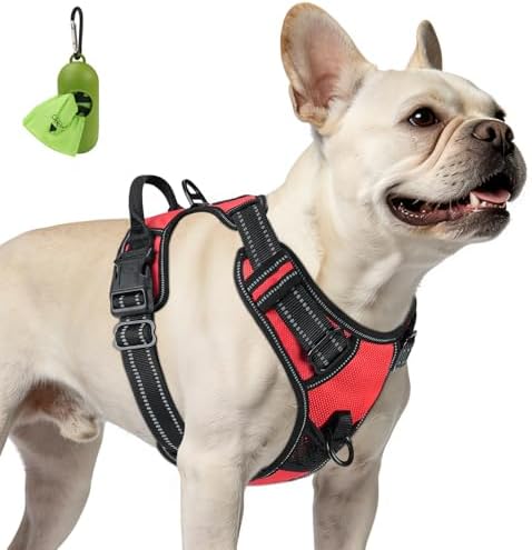 Joytale No Pull Dog Harness for Small Dogs, Front Clip