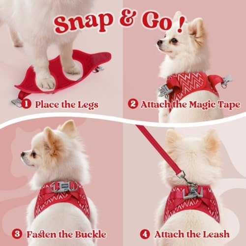 rabbitgoo Dog Harness Small Sized and Leash Set, Step in Soft Vest