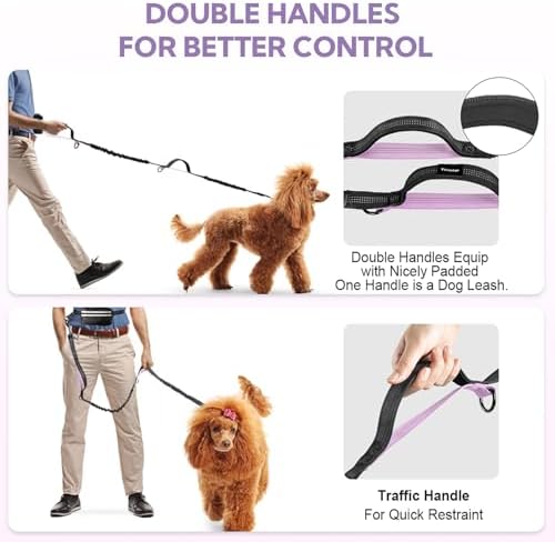Hands Free Dog Leash for Two Dogs Walking