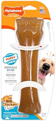 Nylabone Puppy Chew Teething Knuckle Bone Dog Chew Toy, Chicken Flavor