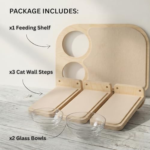 INICIO Cat Shelves