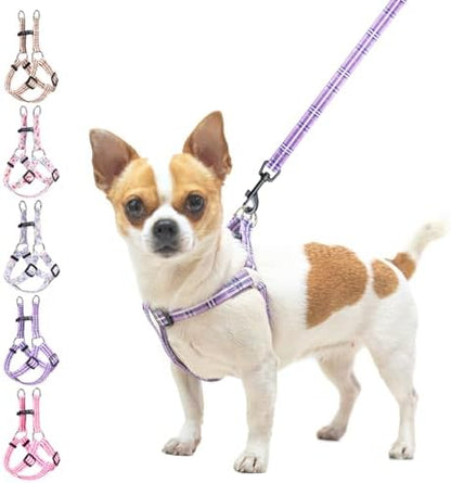 BEAUTYZOO No Pull Dog Harness and Leash Set