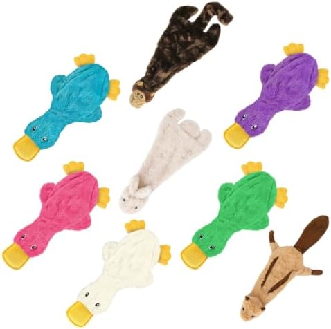 Best Pet Supplies 2-in-1 Stuffless Squeaky Dog Toy