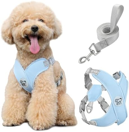Pawaboo Small Dog Harness and Leash Set, Puppy Harness X-Frame Adjustable