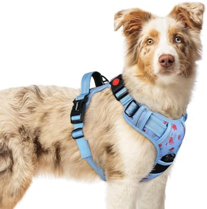 rabbitgoo Dog Harness Medium Sized, Updated Easy On & Off