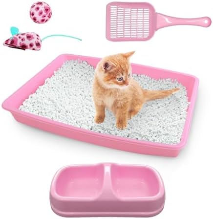 PAWISE Cat Litter Box Set, Small Kitten Starter Kit, Includes Litter Box