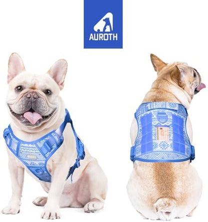 AUROTH Dog Harness for Small Medium Dogs, Tactical No Pull Dog Vest