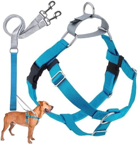 2 Hounds Design Freedom No Pull Dog Harness and Leash