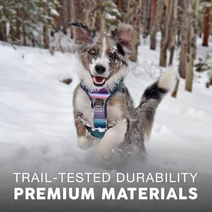 Embark No Pull Dog Harness, Reflective Adjustable Training Vest, No Choke
