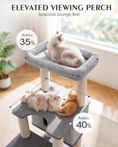 Maine Coon Cat Tree for Large Indoor Cats, Cat Tower, Stable Base
