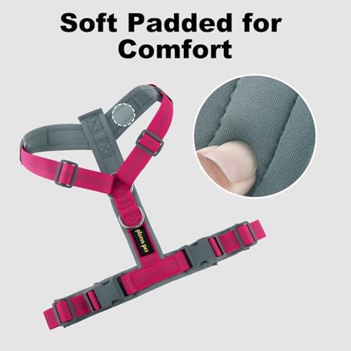 Plutus Pet No Pull Dog Harness, Adjustable Nylon Harness