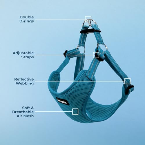 Voyager Step-in Flex Adjustable Dog Harness