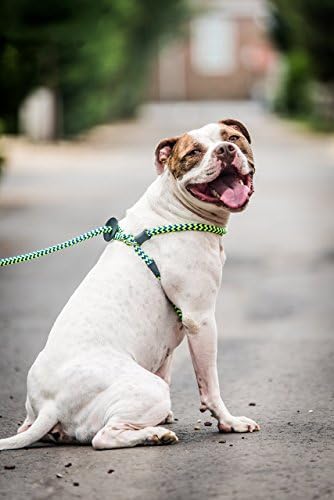 Harness Lead No Pull Dog Harness and Leash Set, Anti Pull Dog Harness,