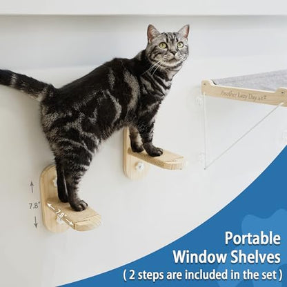 PETKARAY Cat Window Perch, Foldable Cat Hammock