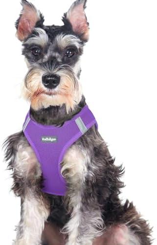 rabbitgoo Step-in Small Dog Harness, Puppy Vest