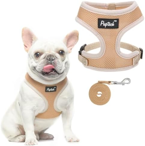 PUPTECK Small Dog Harness and Leash Set No Pull