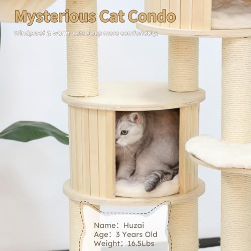 NUNU LAB 69’’ Modern Cat Tree for Large Cats, Wood Cat Tree Tower