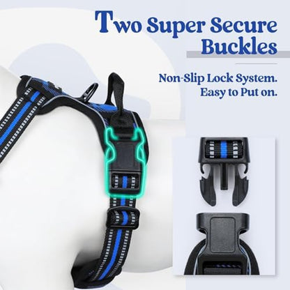 rabbitgoo Dog Harness, No Pull for Small Dogs