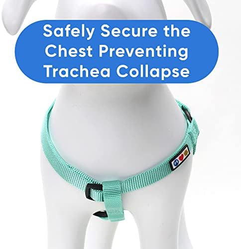 Pawtitas Solid Step-in Dog Harness – Adjustable No-Pull Vest