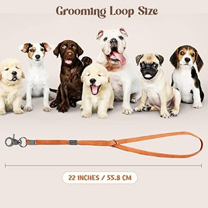 Pet Grooming Loop for Dogs