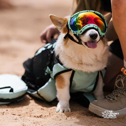 K9 Sport Sack | Plus 2 | Adjustable Dog Carrier Backpack (Small - Summer Mint)