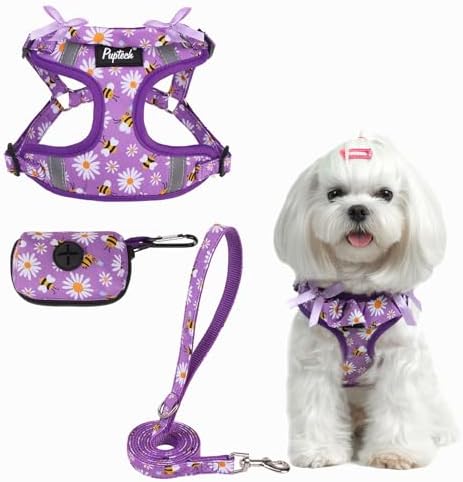 PUPTECK Dog Harness and Leash Set Small Sized, Step in No Pull Adjustable Puppy