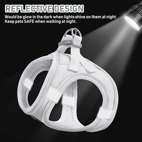 GAMUDA Small Pet Harness Collar and Leash Set, Step in No Chock No Pull Linen