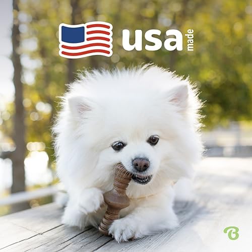 Benebone 2-Pack Maplestick/Zaggler Durable Dog Chew Toys, Dog Bones