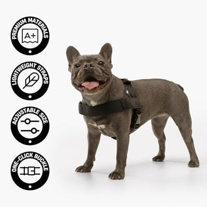 Dog Friendly Co. Dog Harness for Small Dogs