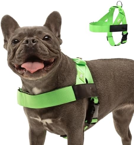 Dog Friendly Co. Dog Harness for Large Dogs