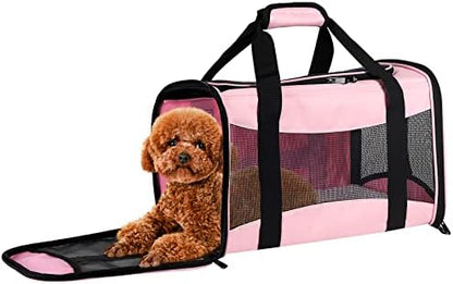 Cat Carrying Case
