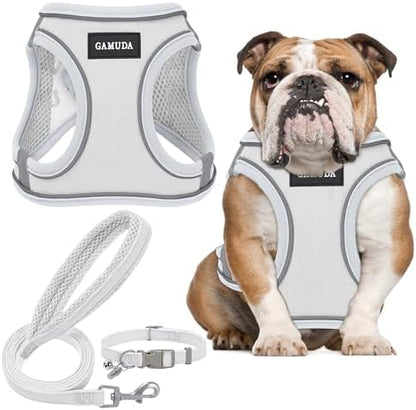 GAMUDA Small Pet Harness Collar and Leash Set, Step in No Chock No Pull Linen