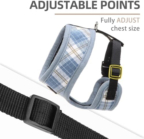 PUPTECK Small Dog Harness and Leash Set No Pull
