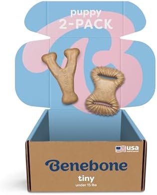 Benebone Puppy 2-Pack Dental/Wishbone Dog Chew Toys, Real Chicken