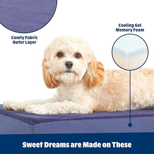 BarkBox Orthopedic Dog Bed